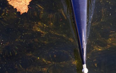 HOSR enters into Multi-Year Agreement with RegattaCentral